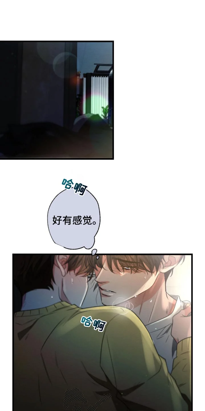 不成文的意图 第181章：【第三季】一直只有一个 第1页