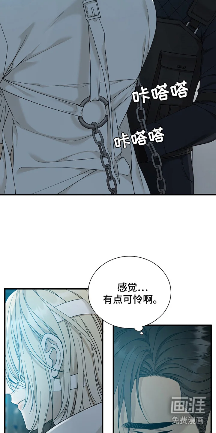 亲爱的夏娃 第3章：等级SSS 第10页