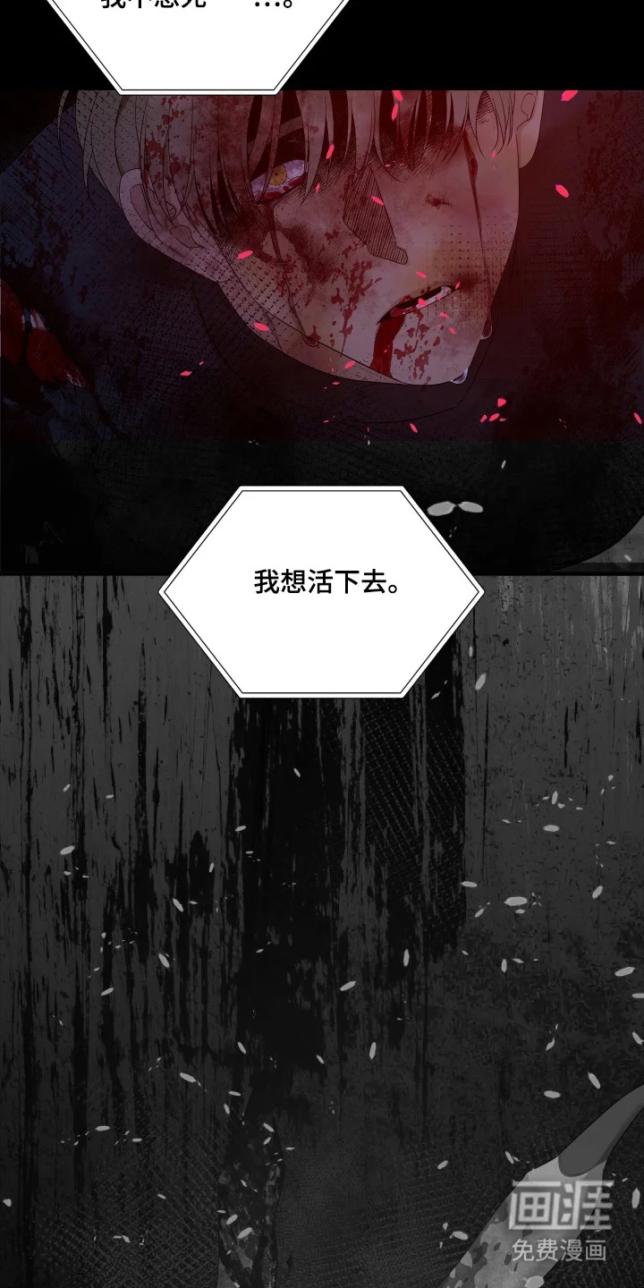 亲爱的夏娃 第40章：讨伐失败 第17页