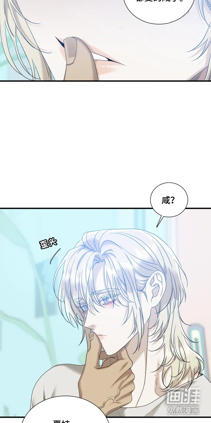 亲爱的夏娃 第42章：表达感情 第13页