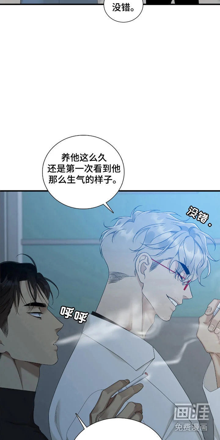 亲爱的夏娃 第46章：嫉妒 第6页