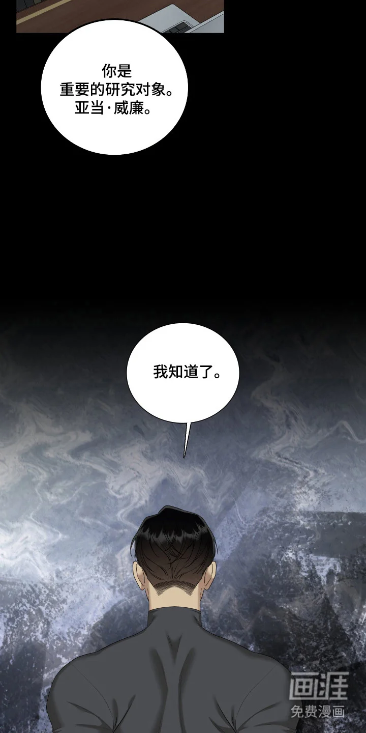 亲爱的夏娃 第53章：重点研究 第8页