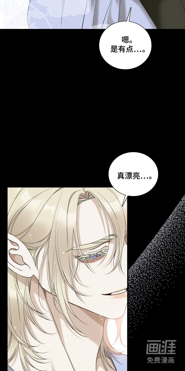 亲爱的夏娃 第53章：重点研究 第25页