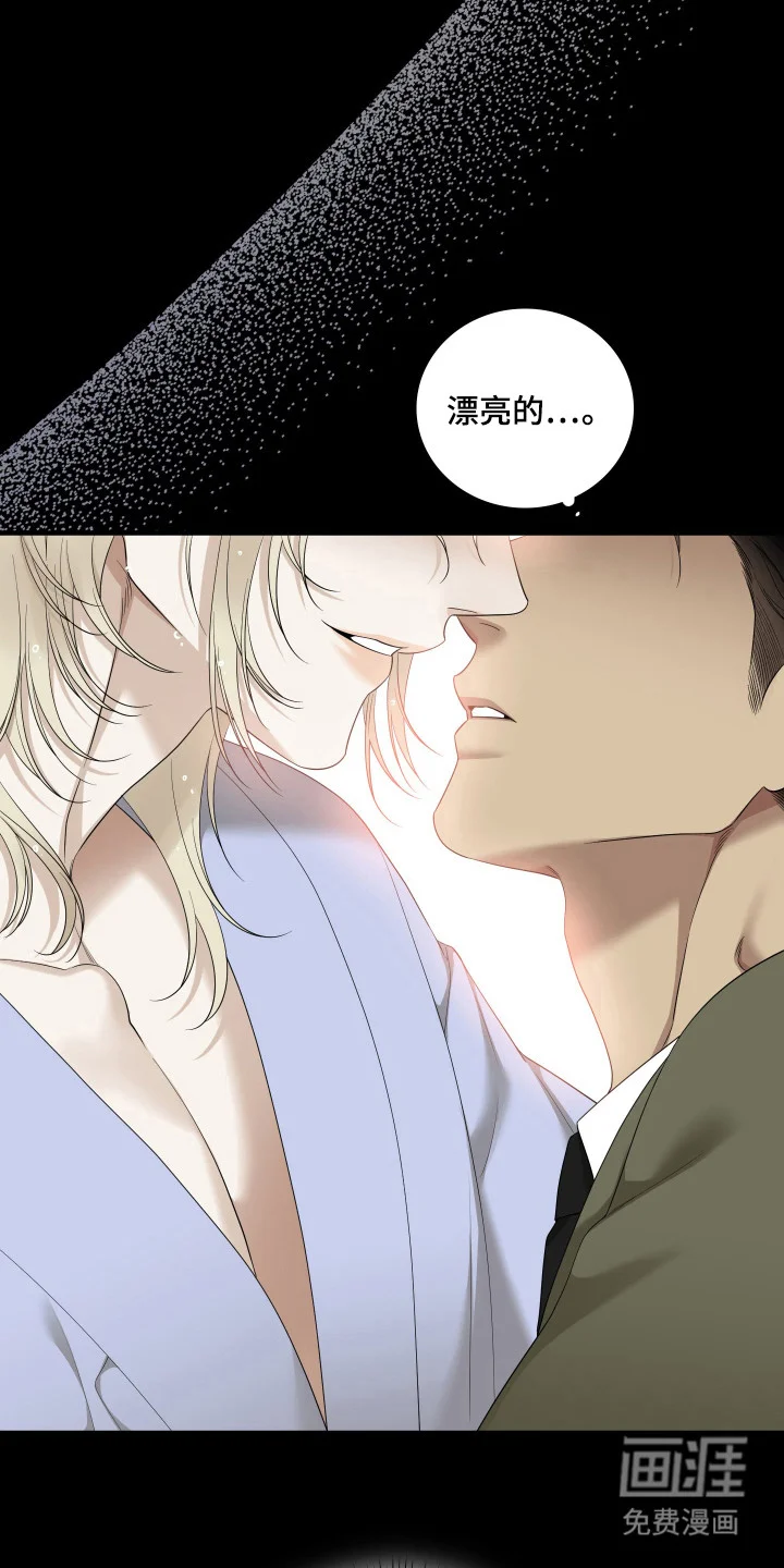 亲爱的夏娃 第53章：重点研究 第27页