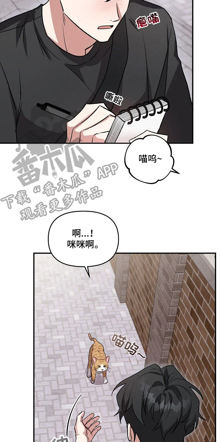 亲爱的杀手 第1章：告白计划 第17页
