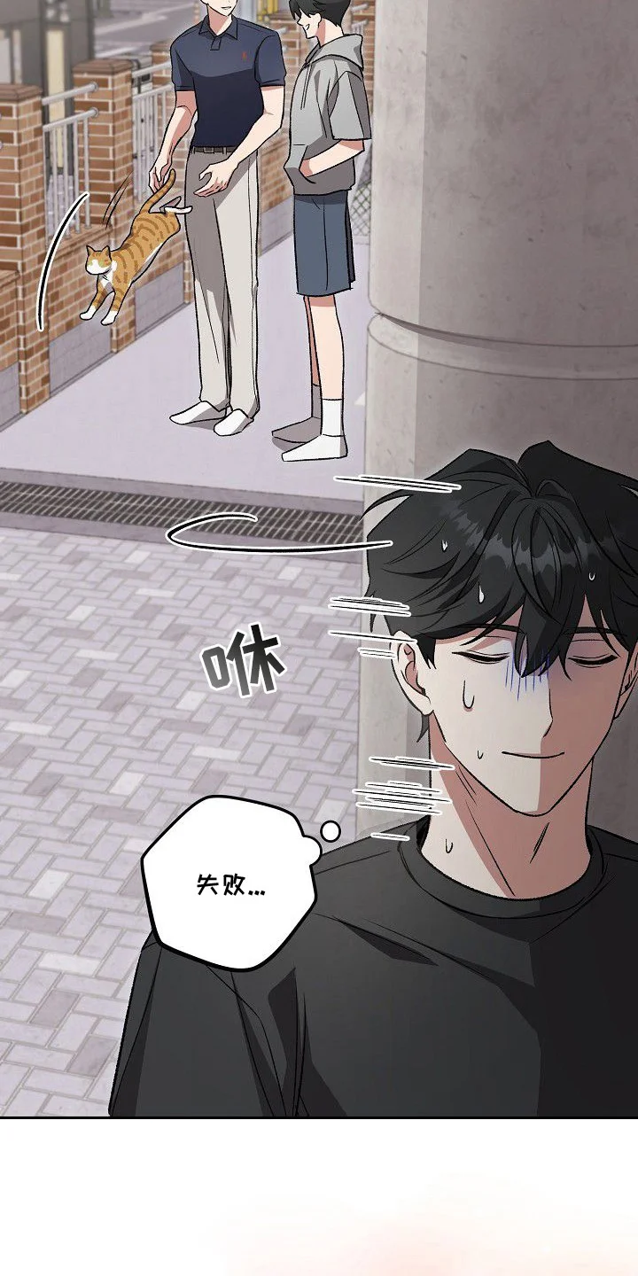 亲爱的杀手 第1章：告白计划 第13页