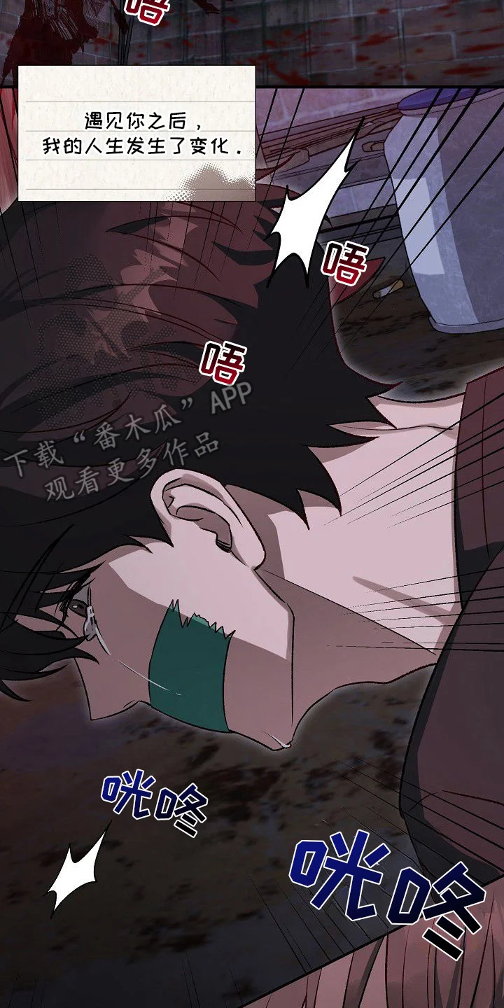 亲爱的杀手 第1章：告白计划 第2页