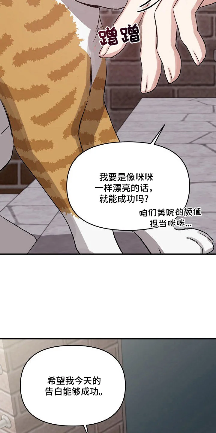 亲爱的杀手 第1章：告白计划 第19页