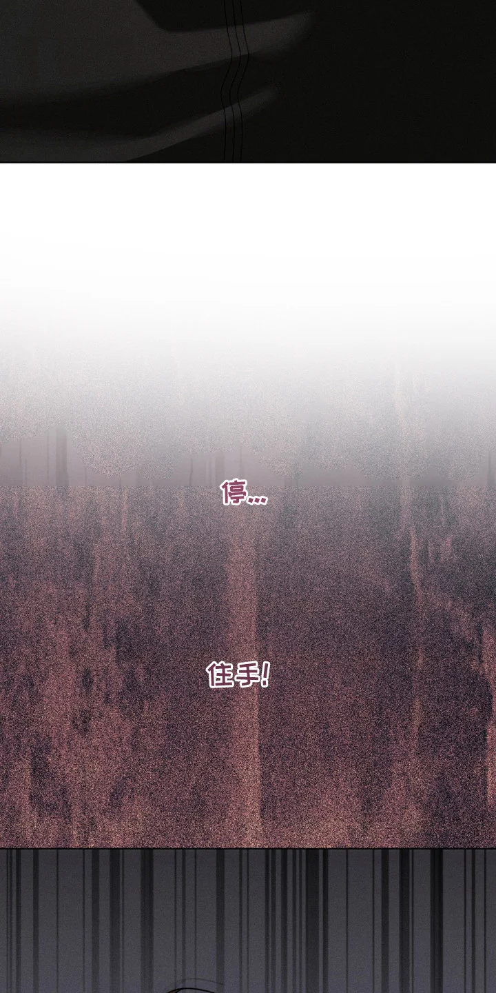 伪兄囚笼 第11章：使不上力气 第12页