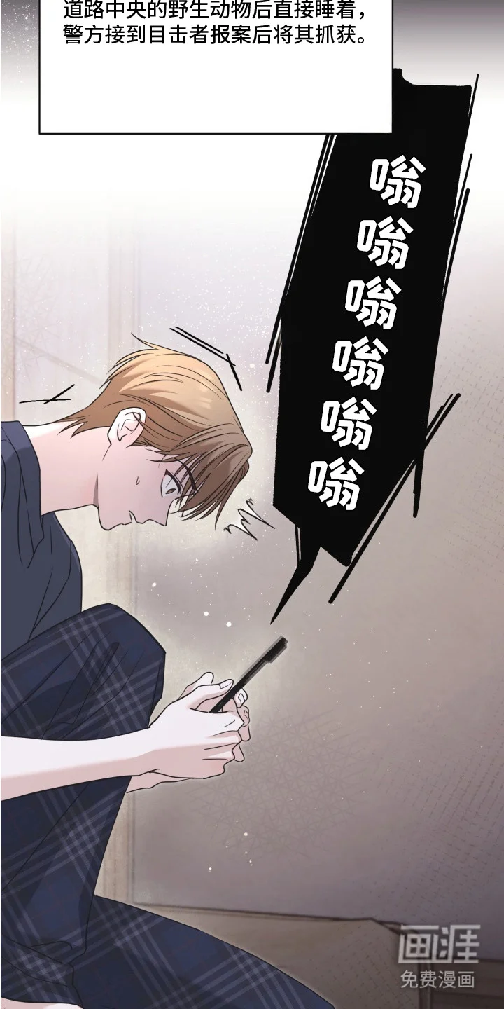 侵蚀双A禁区 第4章：金主 第4页