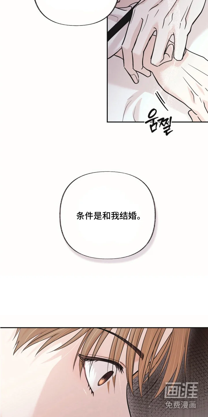 侵蚀双A禁区 第5章：合约 第14页