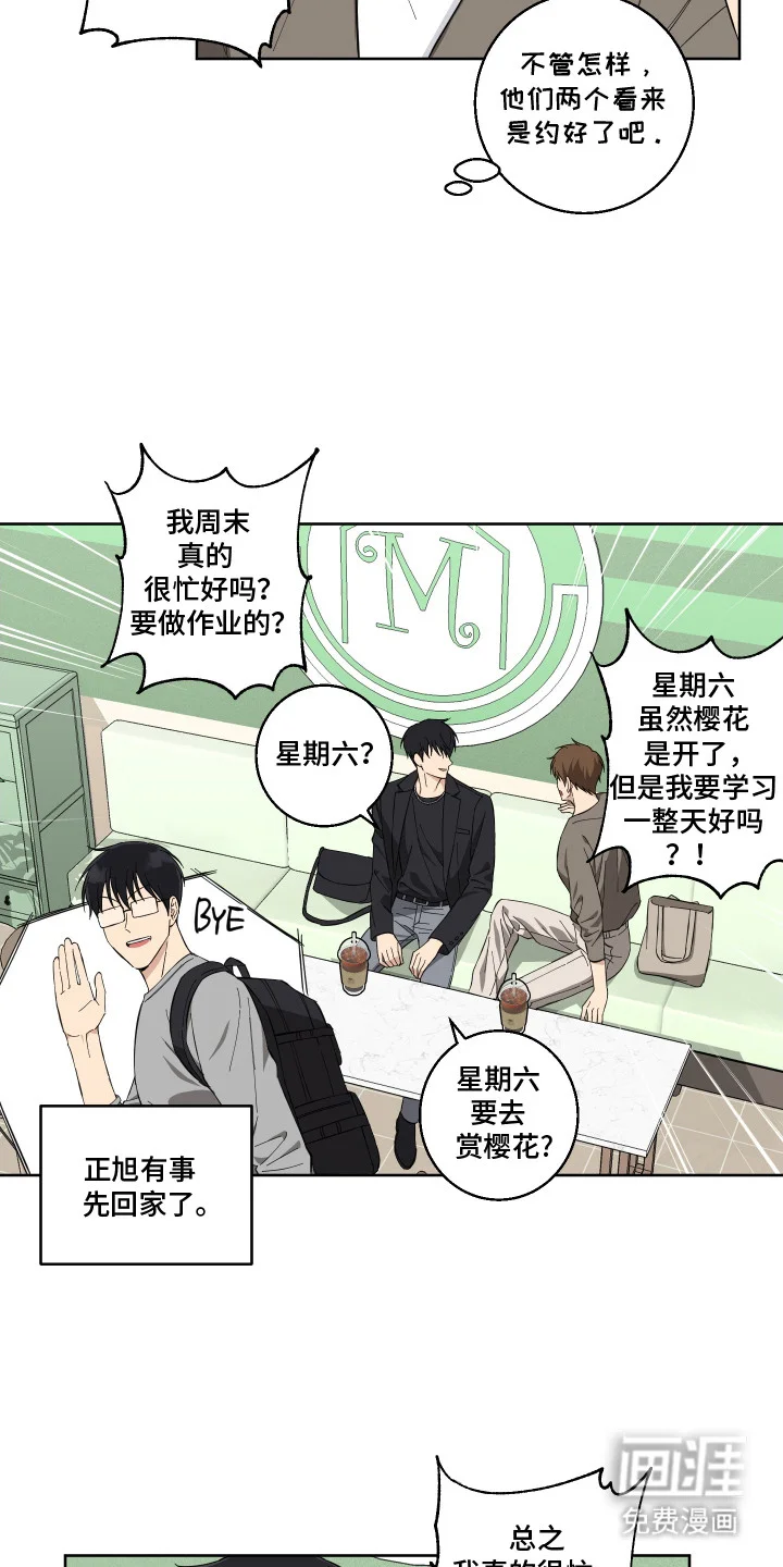 保护你的清白 第11章：心花怒放 第13页