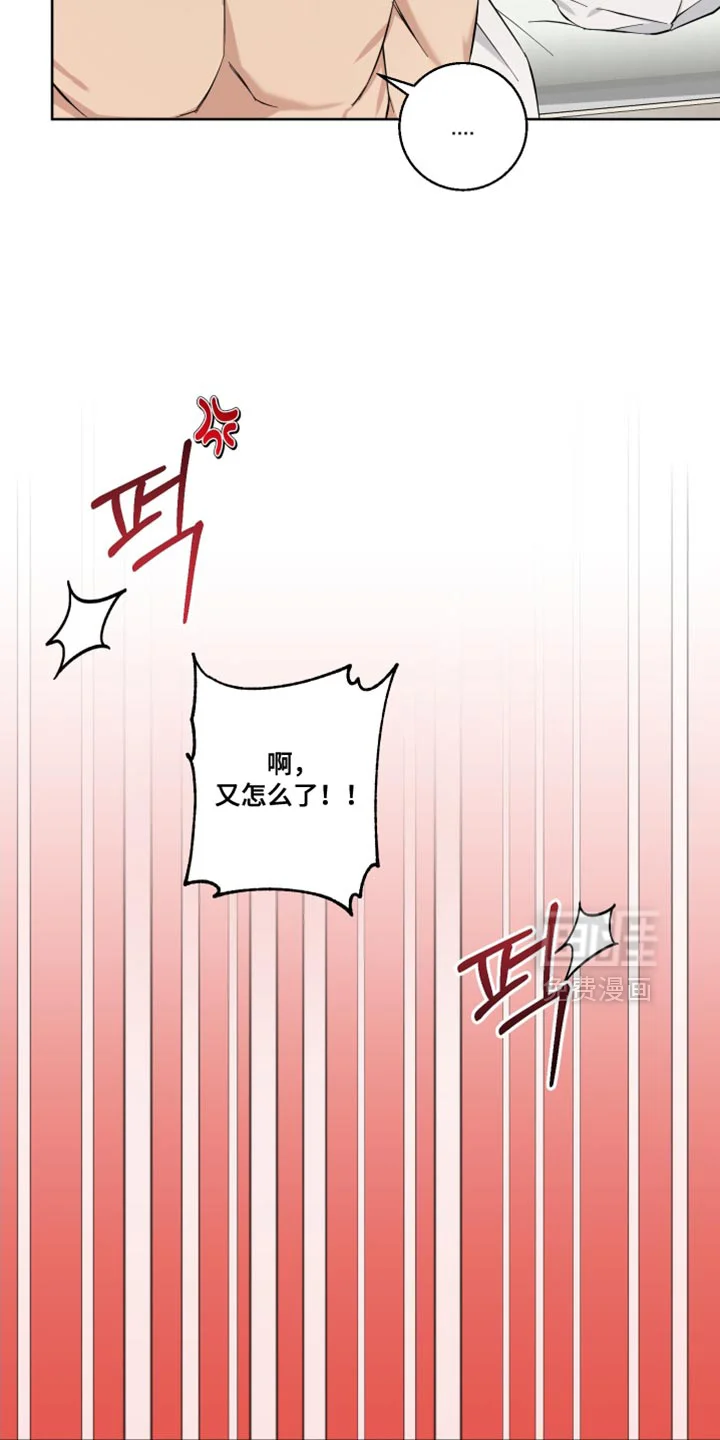 保护你的清白 第23章：是个奇怪的人 第14页