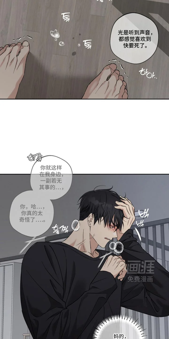 保护你的清白 第51章：你这个傻瓜（第一季完结） 第21页