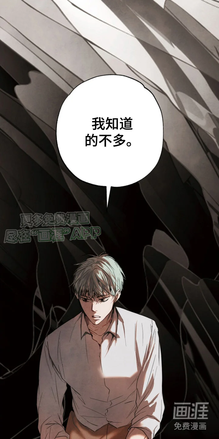 信徒圣痕 第5章：很好奇 第18页