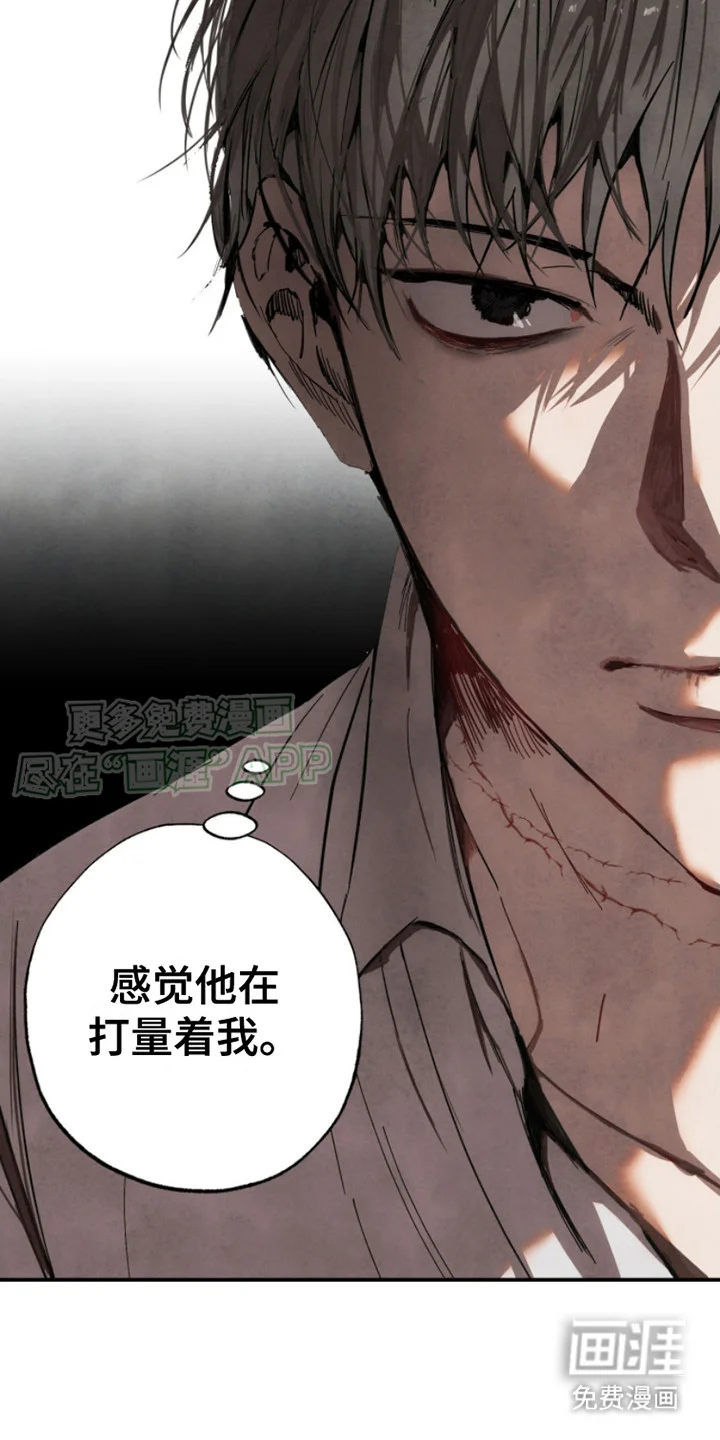 信徒圣痕 第6章： 打量 第10页