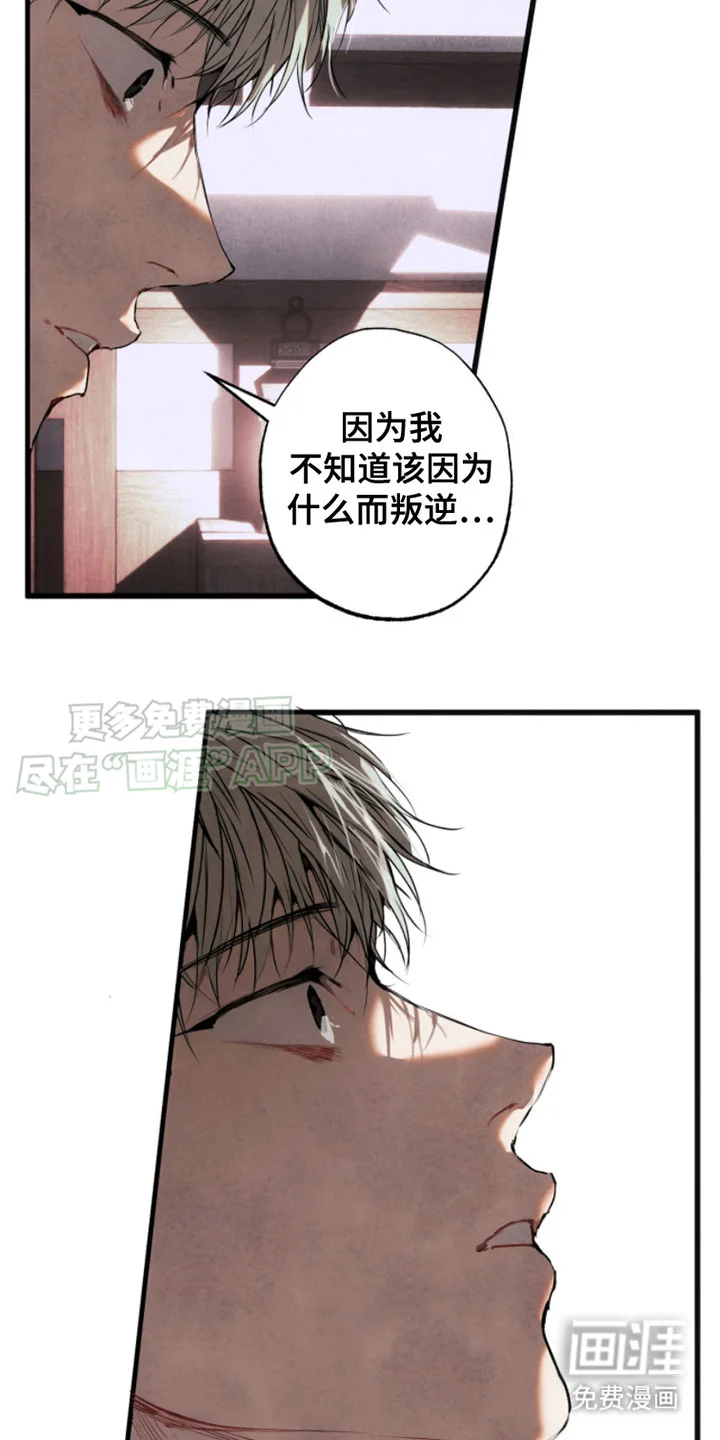 信徒圣痕 第6章： 打量 第15页