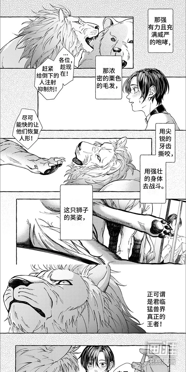 偏爱的狮子 第2章：获救 第5页