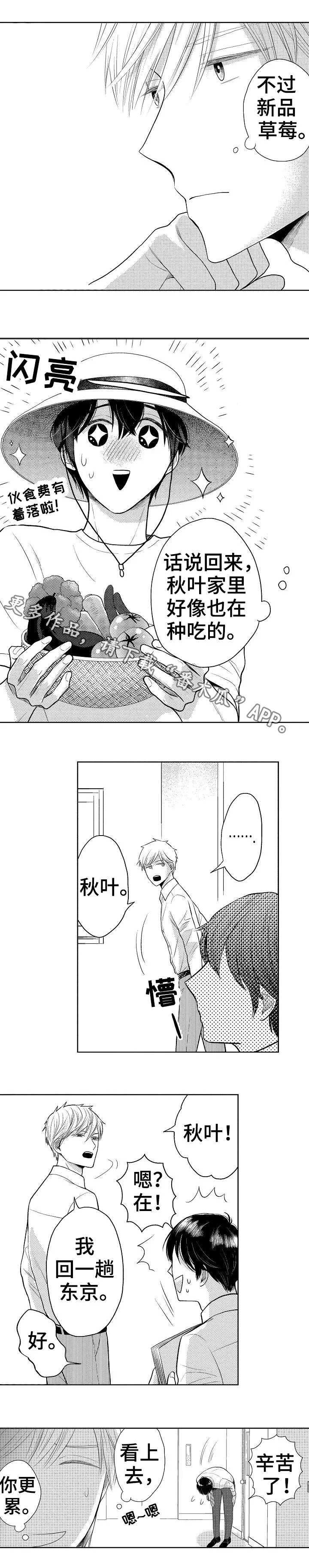 偶像规则 第19章：退出 第2页