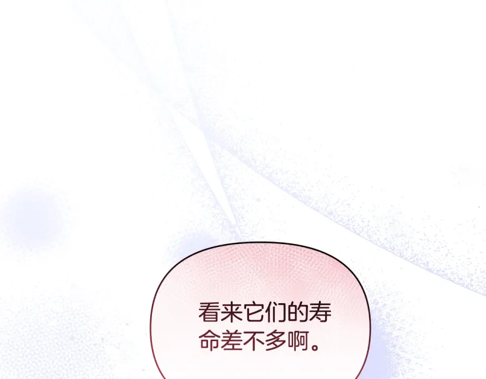 傲娇厨娘的甜品店 第70话 意外来客 第83页