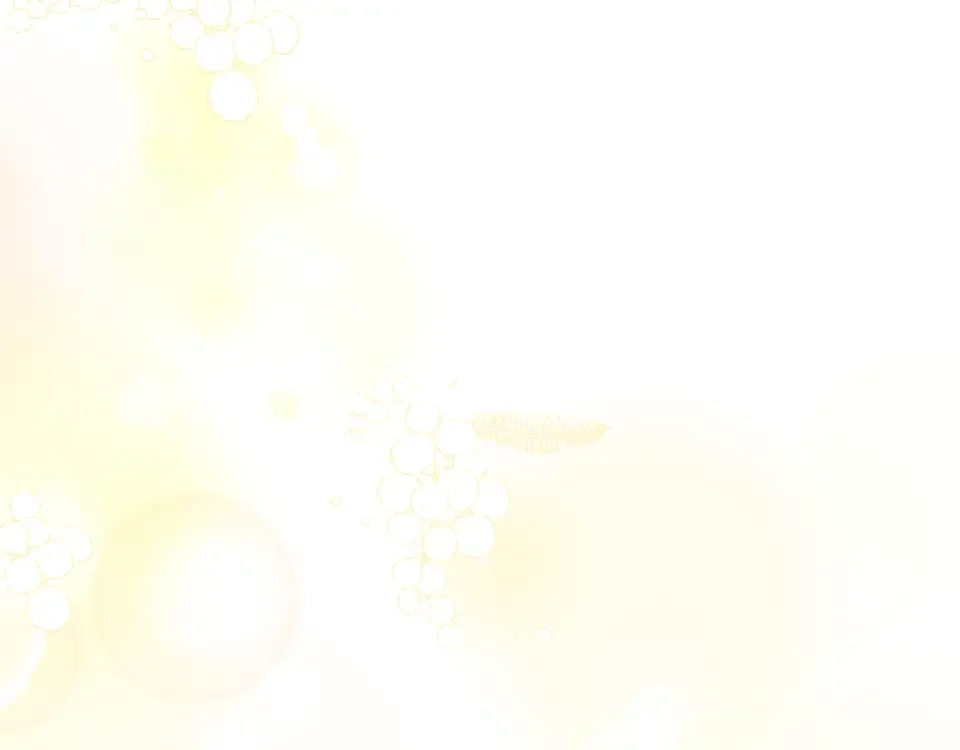 傲娇厨娘的甜品店 第75话 绝不后悔 第46页