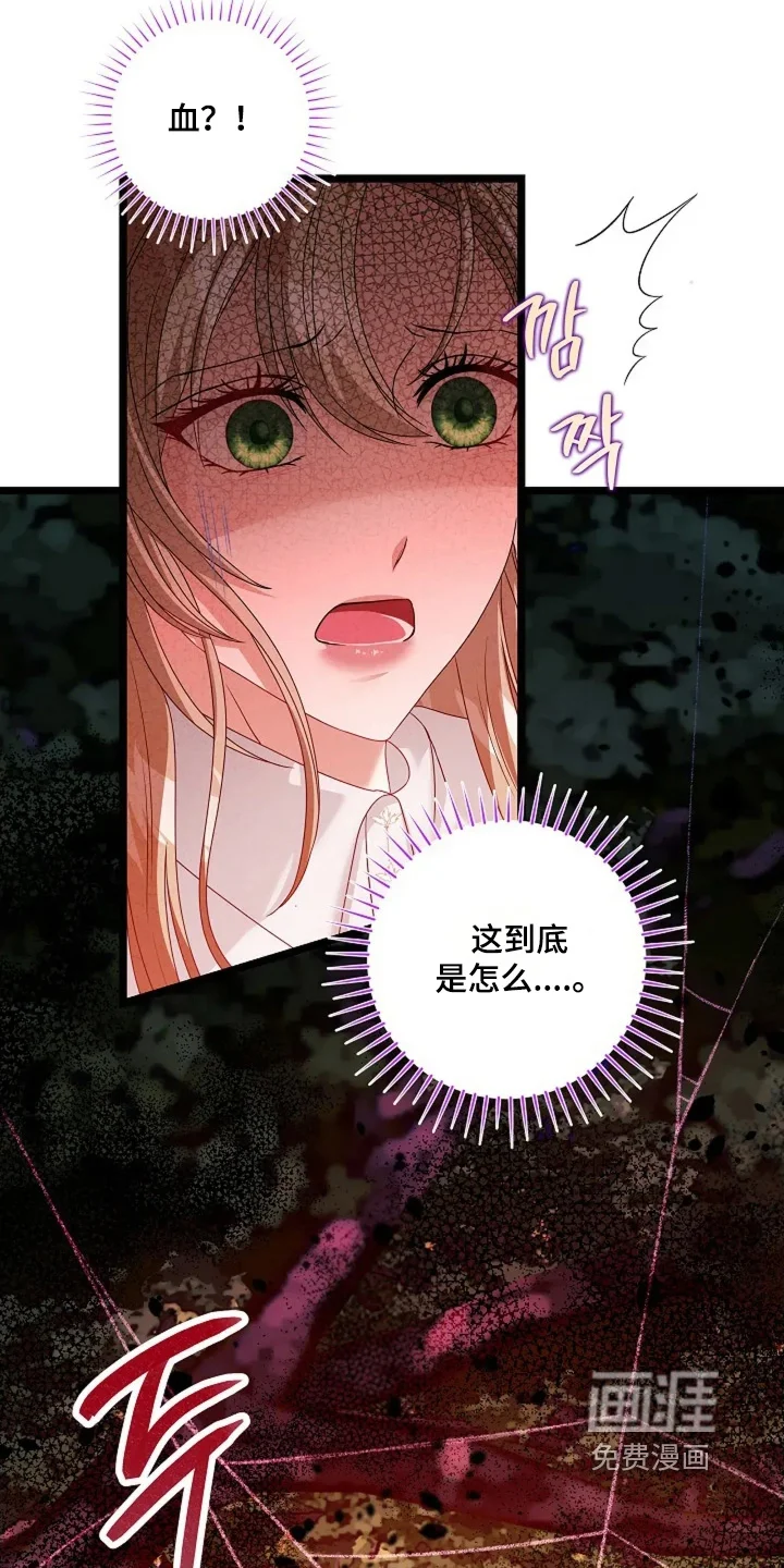 公爵的契约新娘 第72章：邀请函 第2页