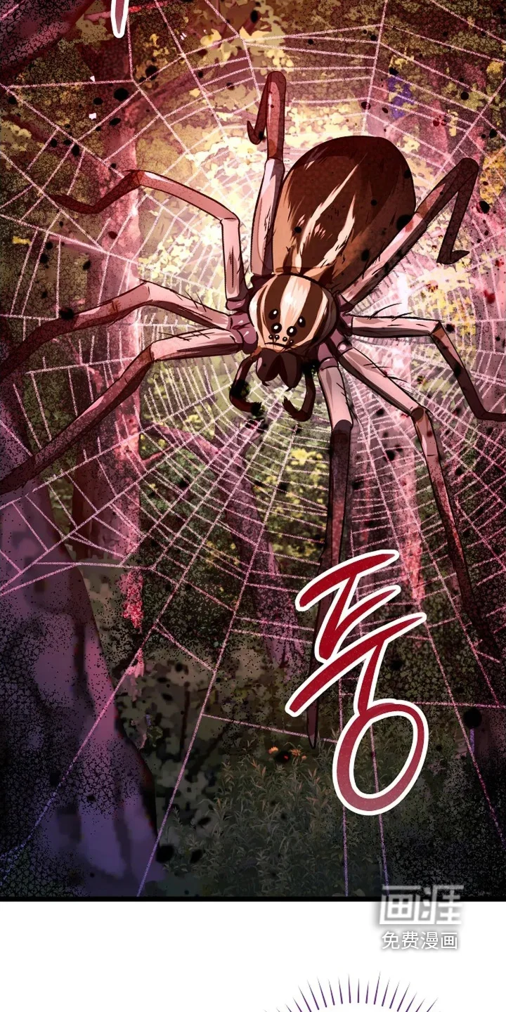 公爵的契约新娘 第72章：邀请函 第3页