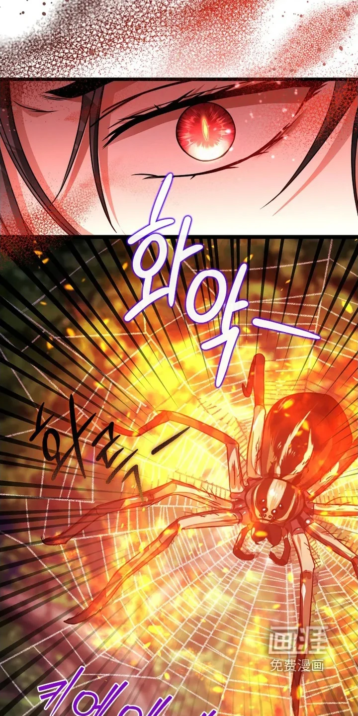 公爵的契约新娘 第72章：邀请函 第5页