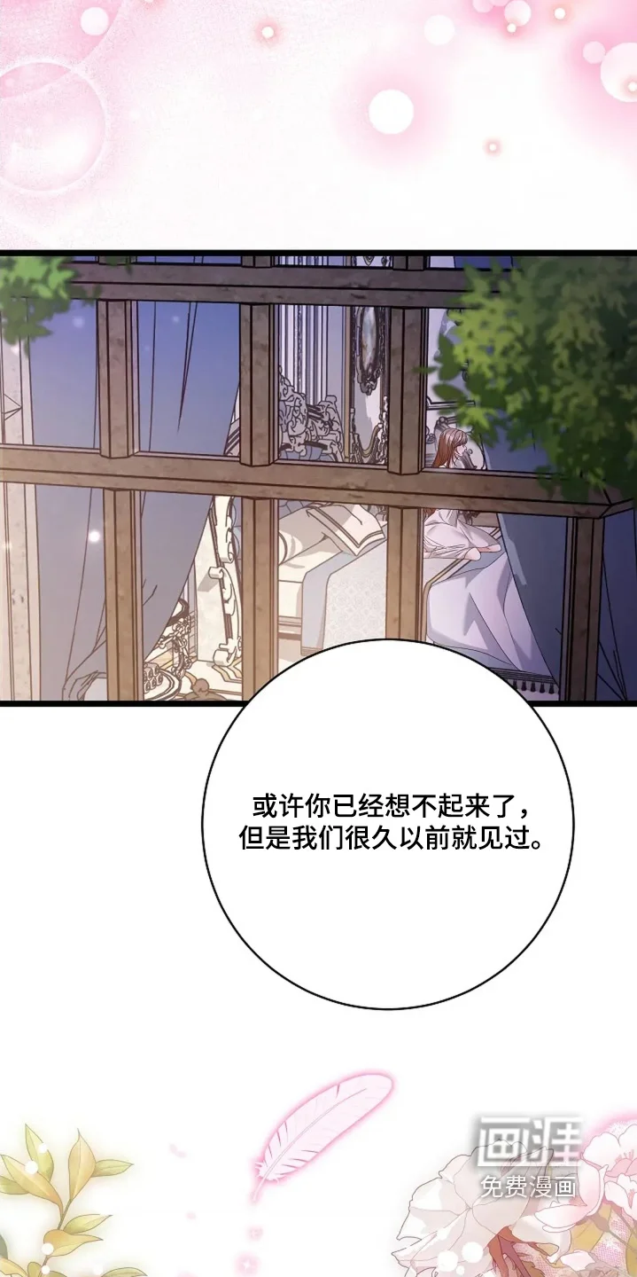 公爵的契约新娘 第80章：就是你 第12页