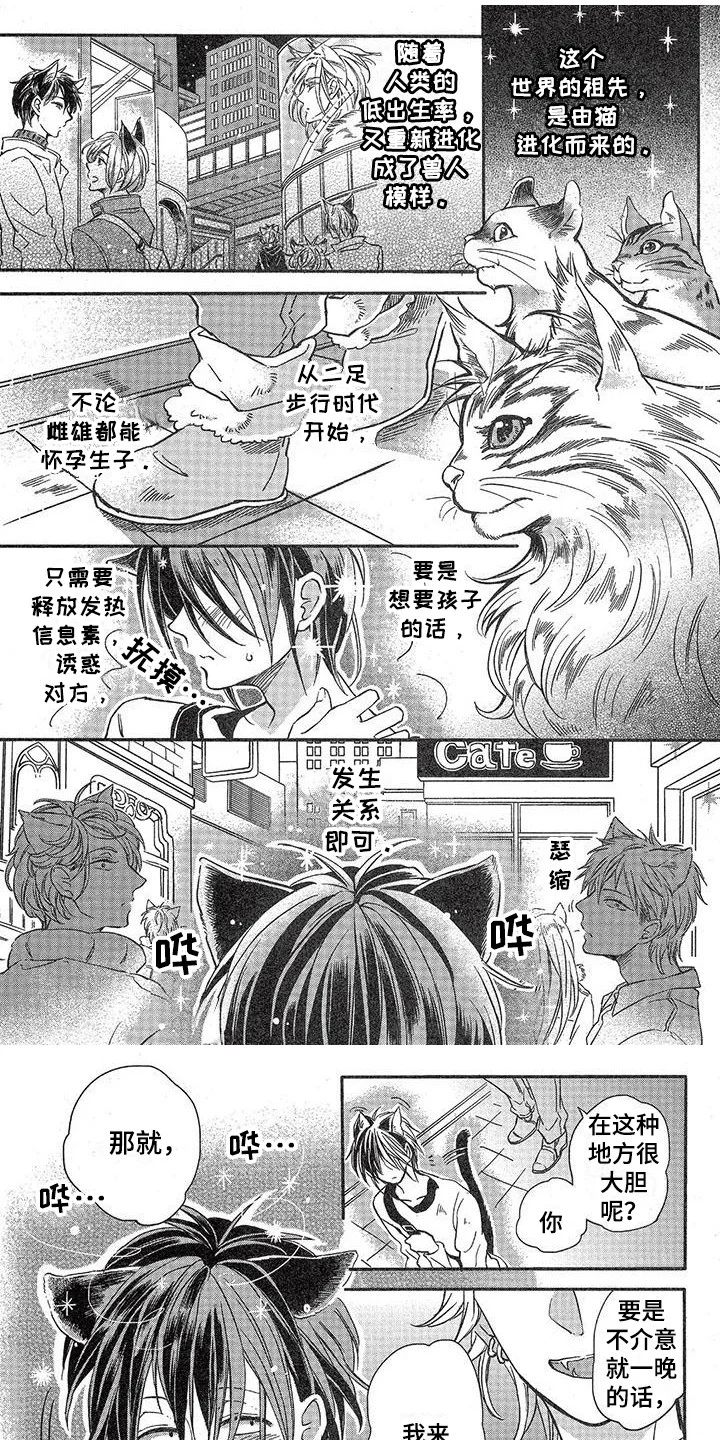 兽人国度 第1章：故事一：模特公司 第1页