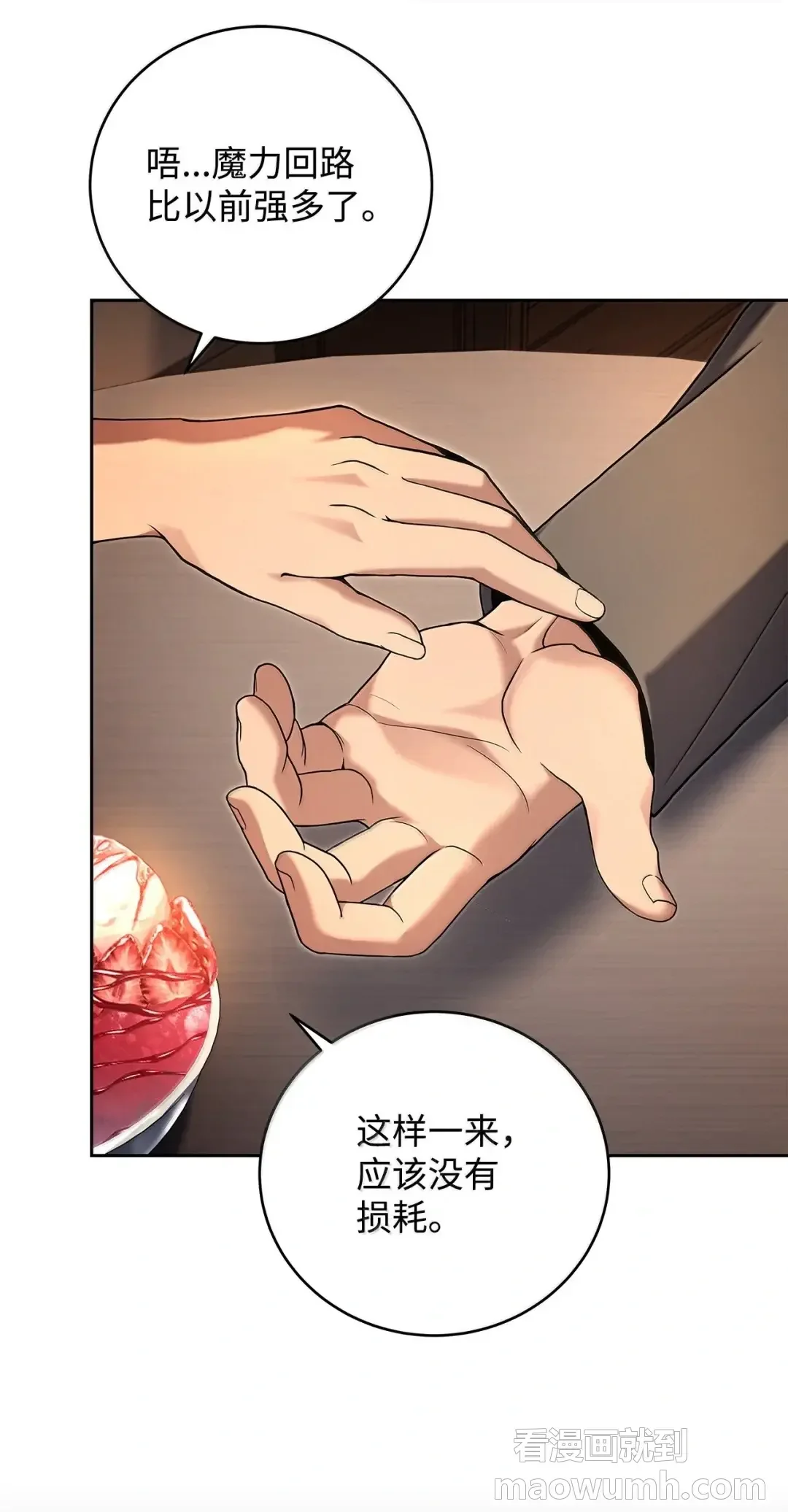 冰封玩家的归来 99 魔力回路 第56页