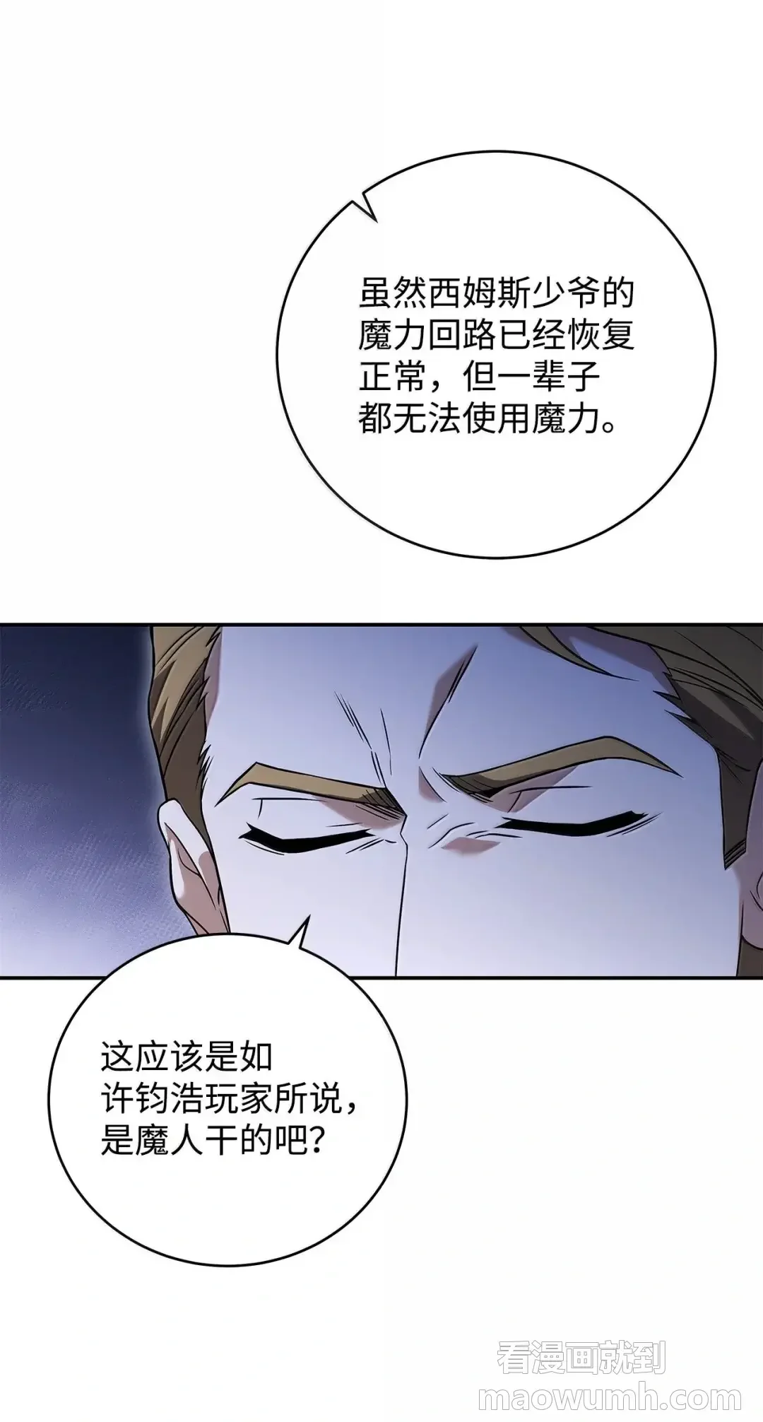 冰封玩家的归来 99 魔力回路 第44页