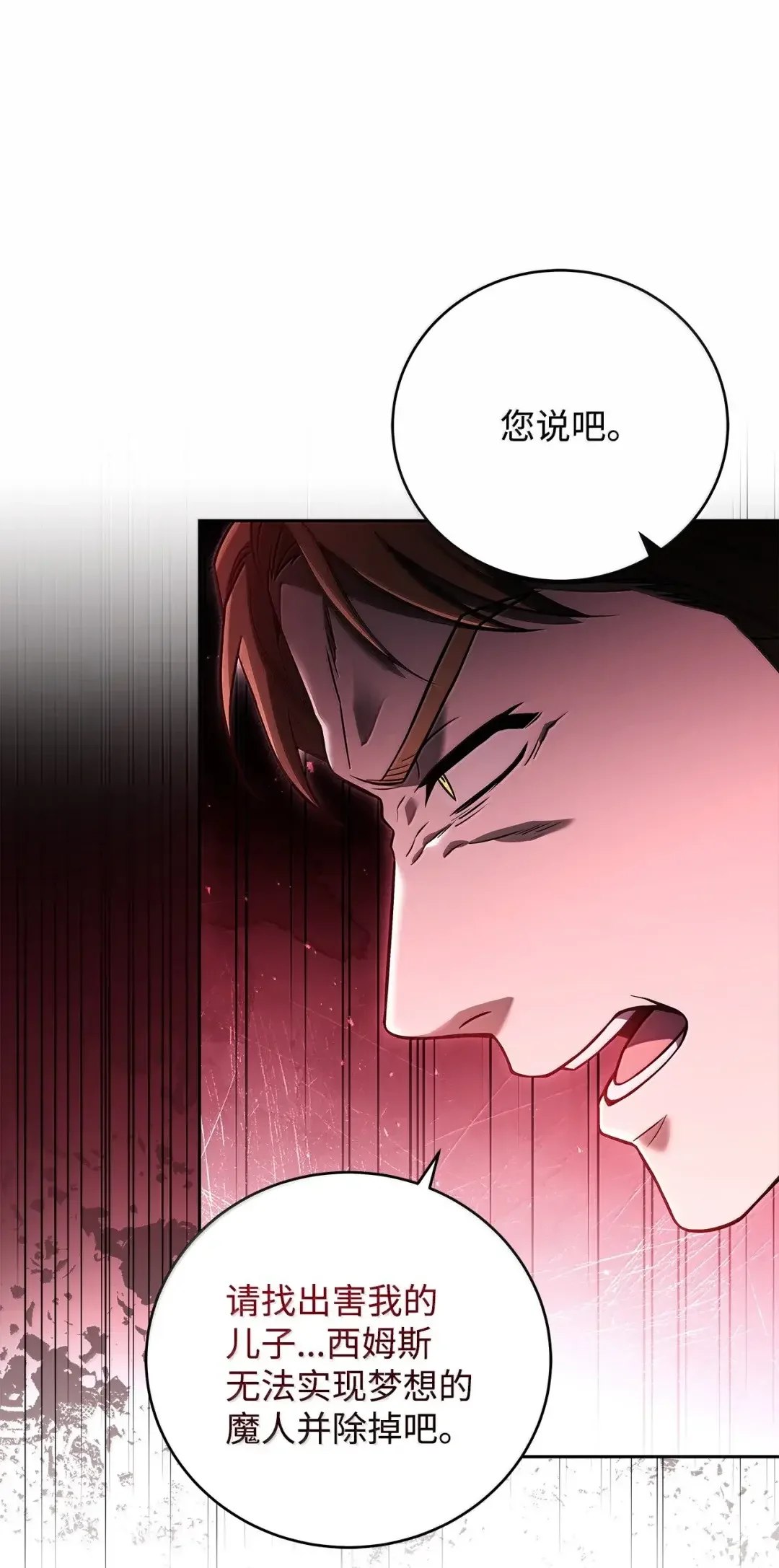 冰封玩家的归来 99 魔力回路 第47页