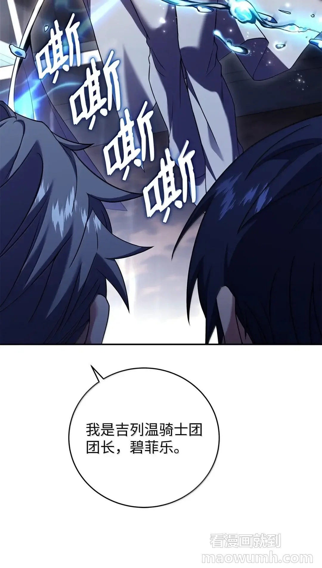 冰封玩家的归来 99 魔力回路 第11页