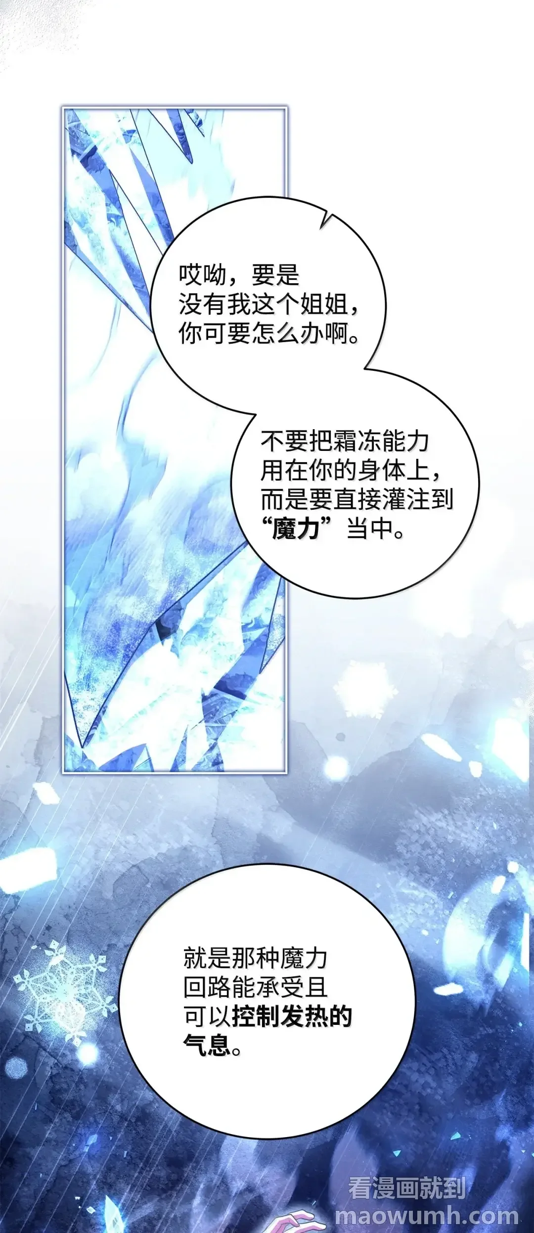 冰封玩家的归来 99 魔力回路 第67页