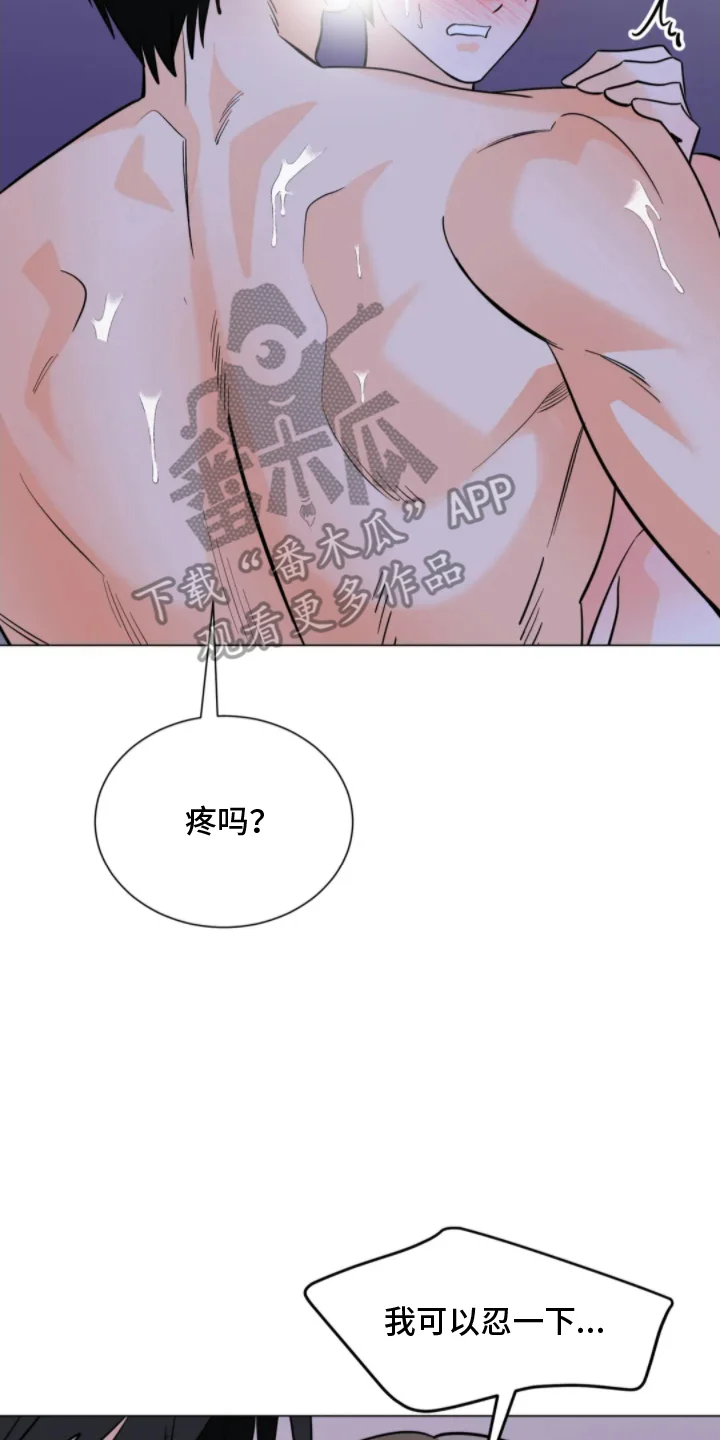 前辈的床边告白 第11章：不管了 第12页