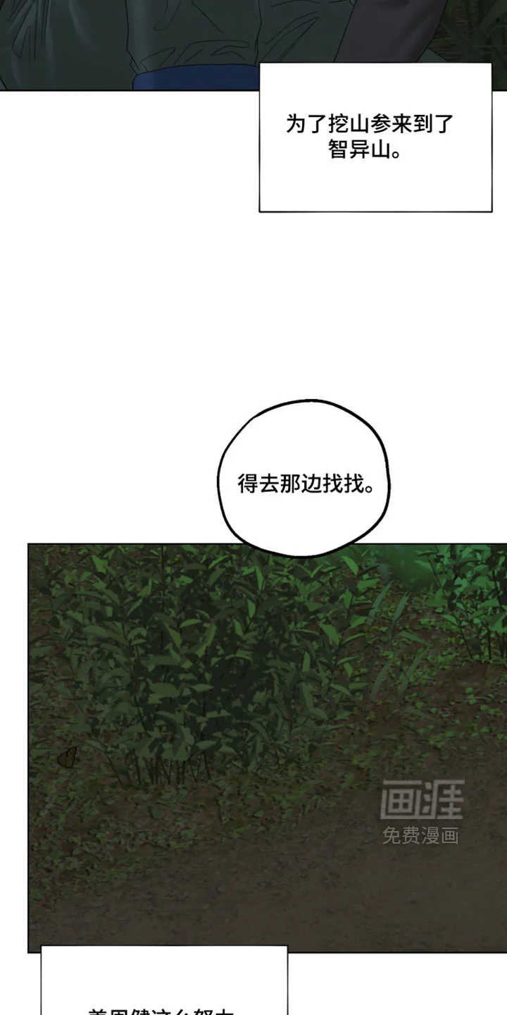 医生大危机 第89章：山参 第11页