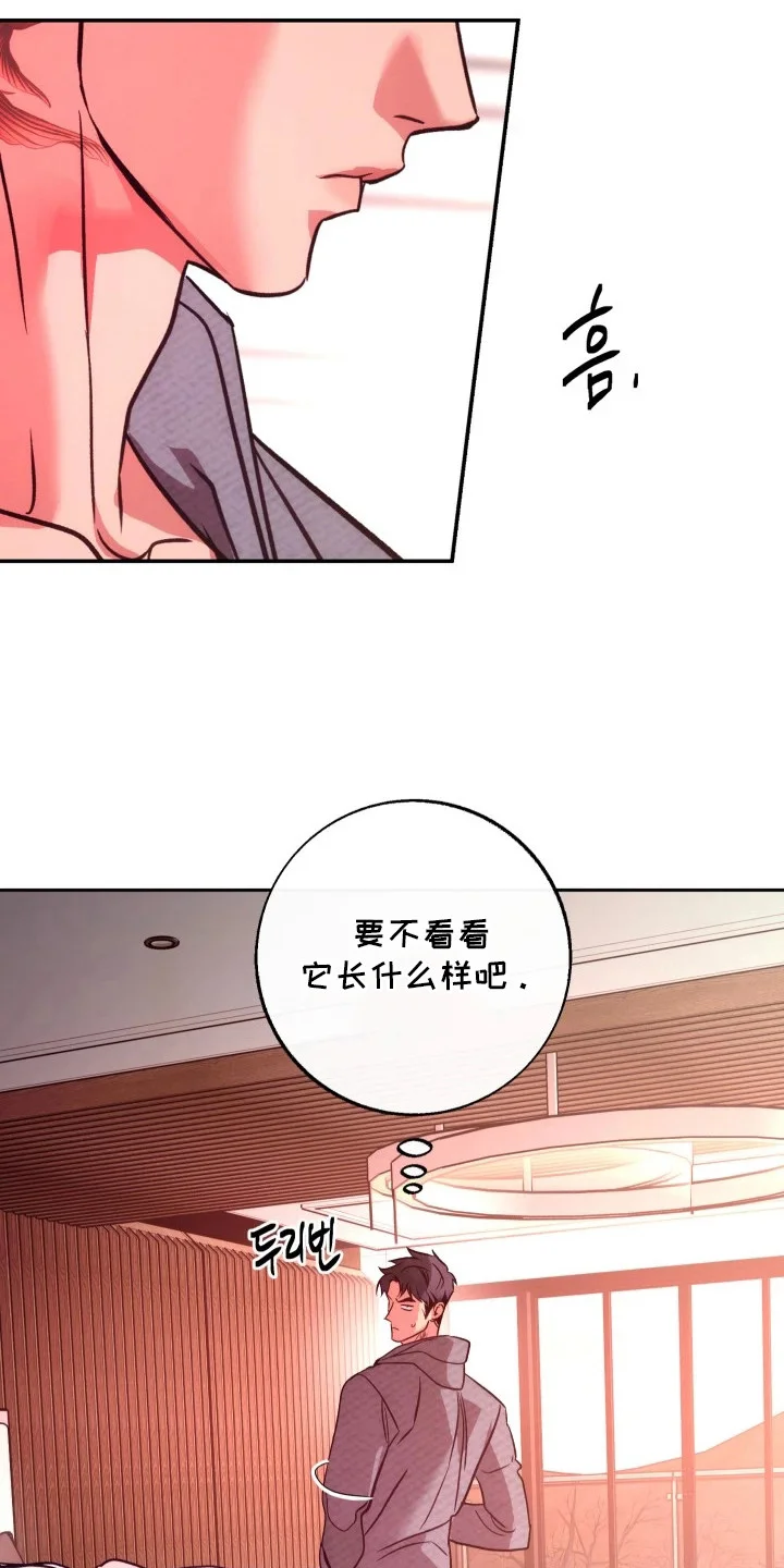 名字的囚徒 第7章：骨瘦如柴 第13页