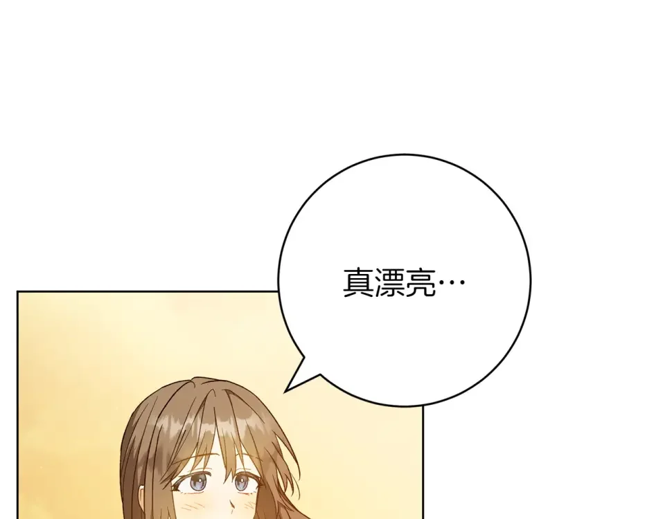 和猛虎大人的恋爱旅行 完结篇 谈恋爱 第161页