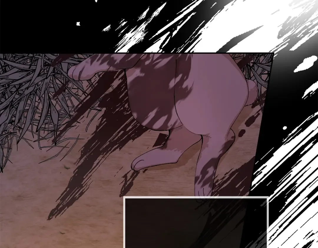 和猛虎大人的恋爱旅行 第1话 唯一的神兽 第19页