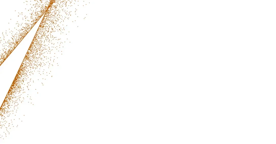 和猛虎大人的恋爱旅行 第2话 主人 第79页