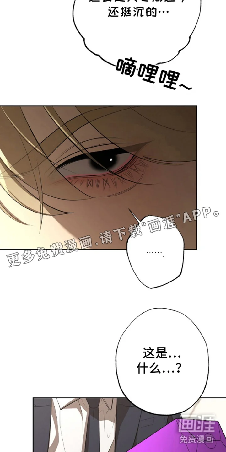 噪音惊扰 第2章：快递 第2页