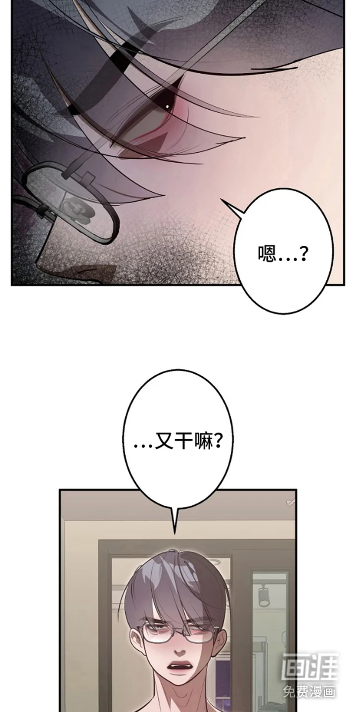 噪音惊扰 第3章：一起喝酒 第11页