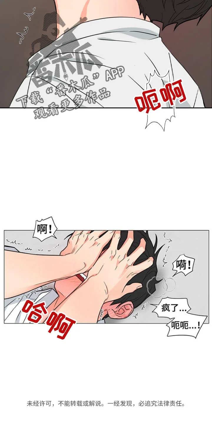 囚笼之爱 第82章：【暗斗】知深浅 第19页