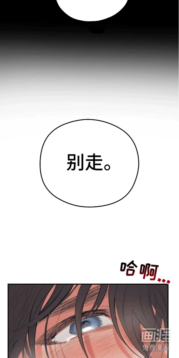 坏苹果禁止通行 第1章：预告 第26页