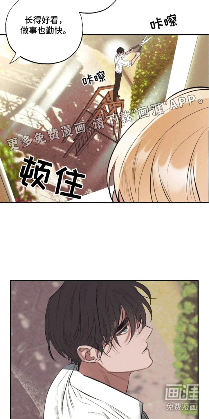 坏苹果禁止通行 第1章：预告 第8页