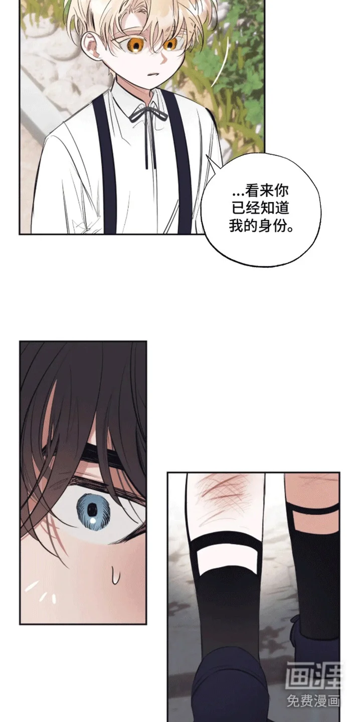 坏苹果禁止通行 第1章：预告 第13页