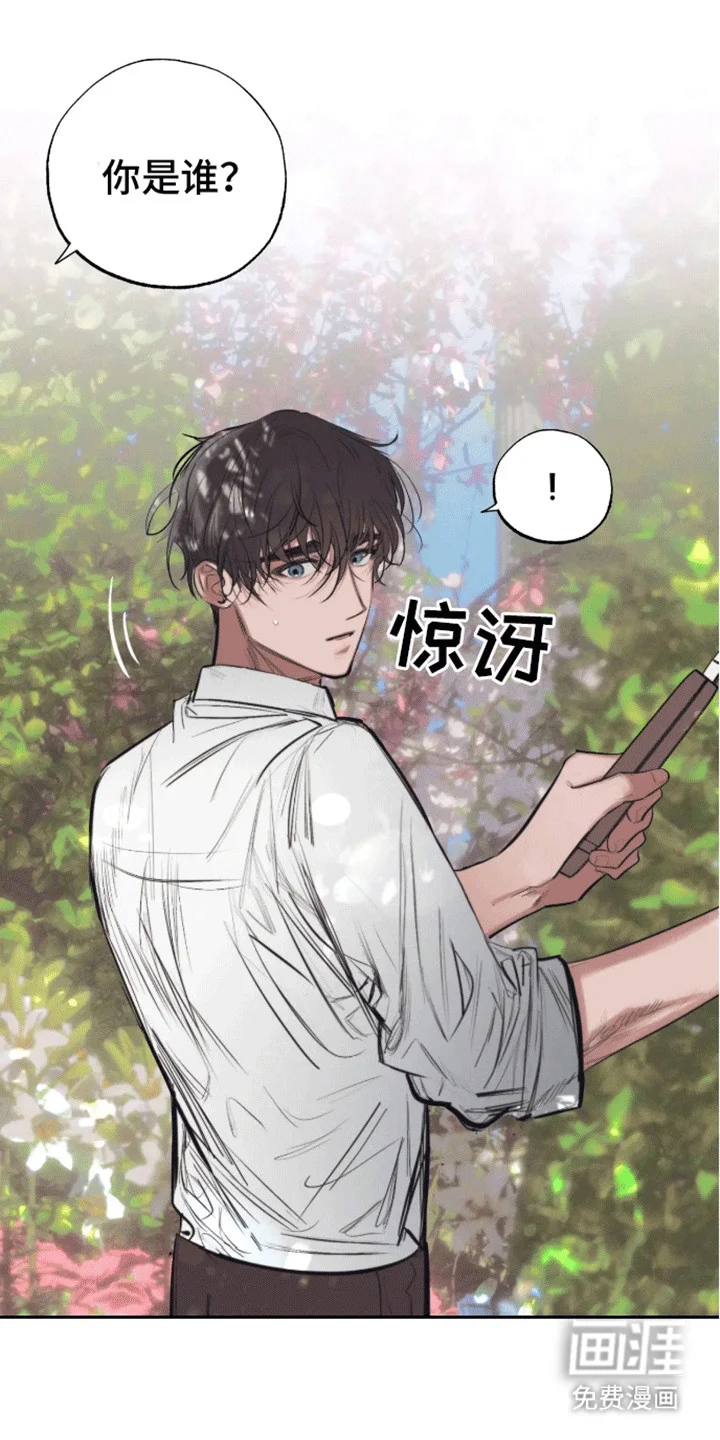 坏苹果禁止通行 第1章：预告 第11页