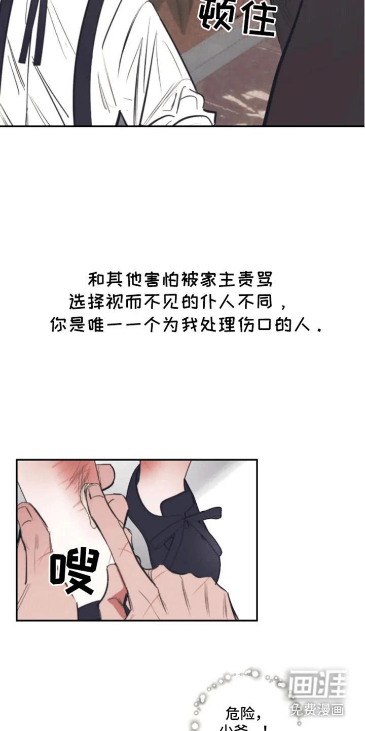 坏苹果禁止通行 第1章：预告 第15页