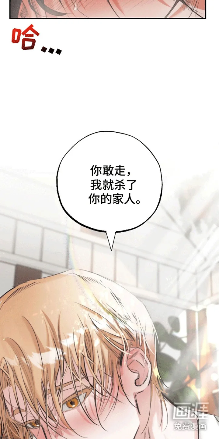 坏苹果禁止通行 第1章：预告 第27页
